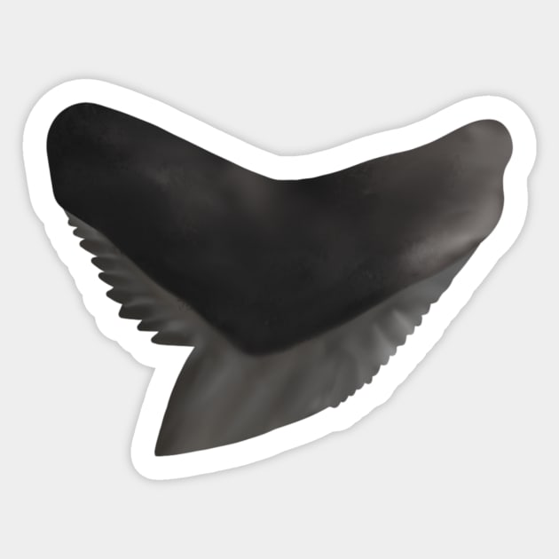 Tiger Shark Tooth Sticker by Reeseworks